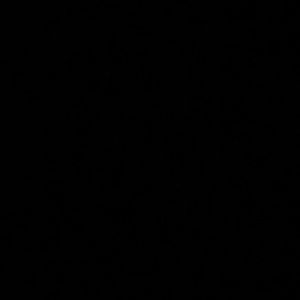 Meet your Posher, Bryce